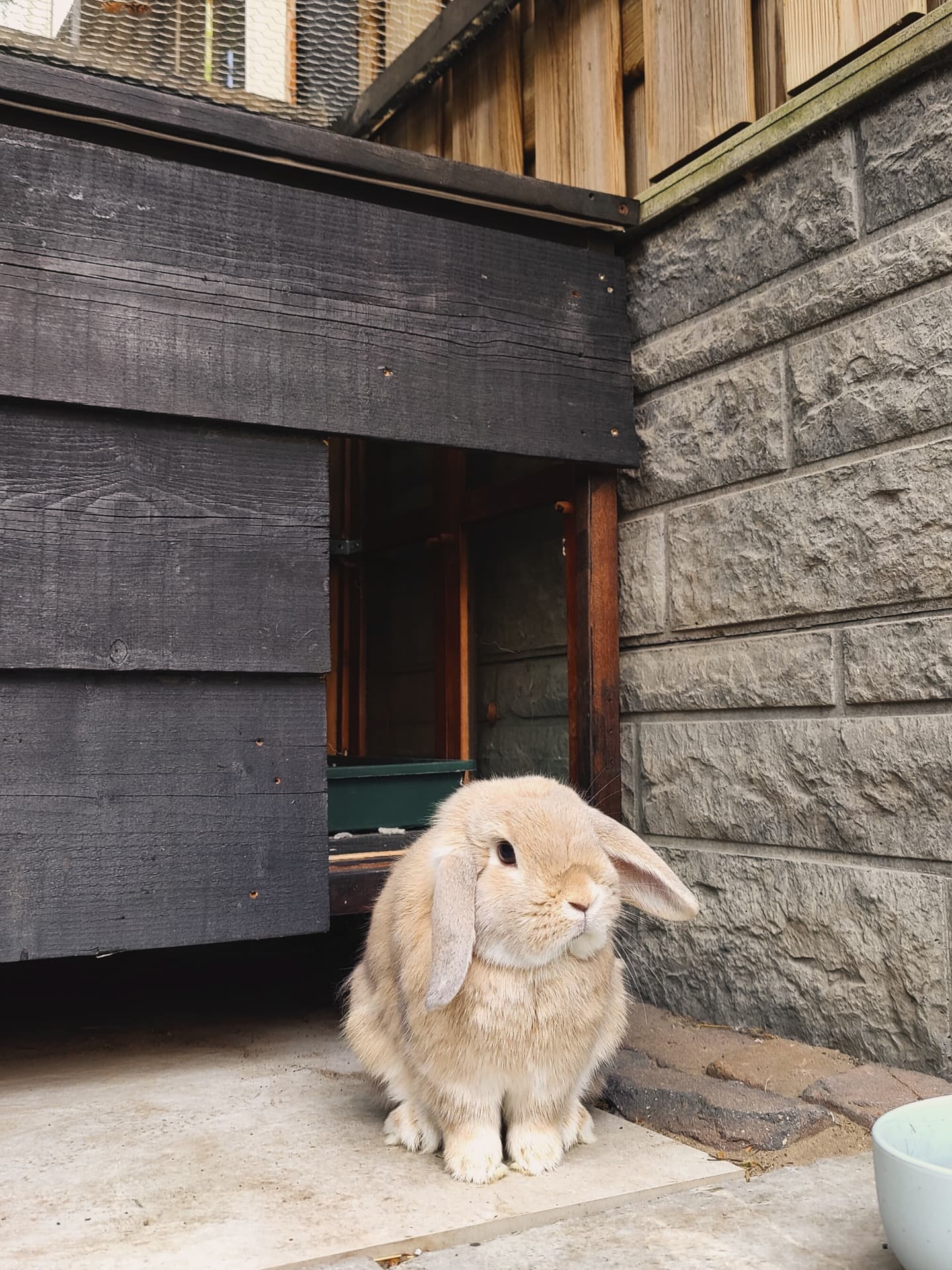 IMG_20250813_111552_369