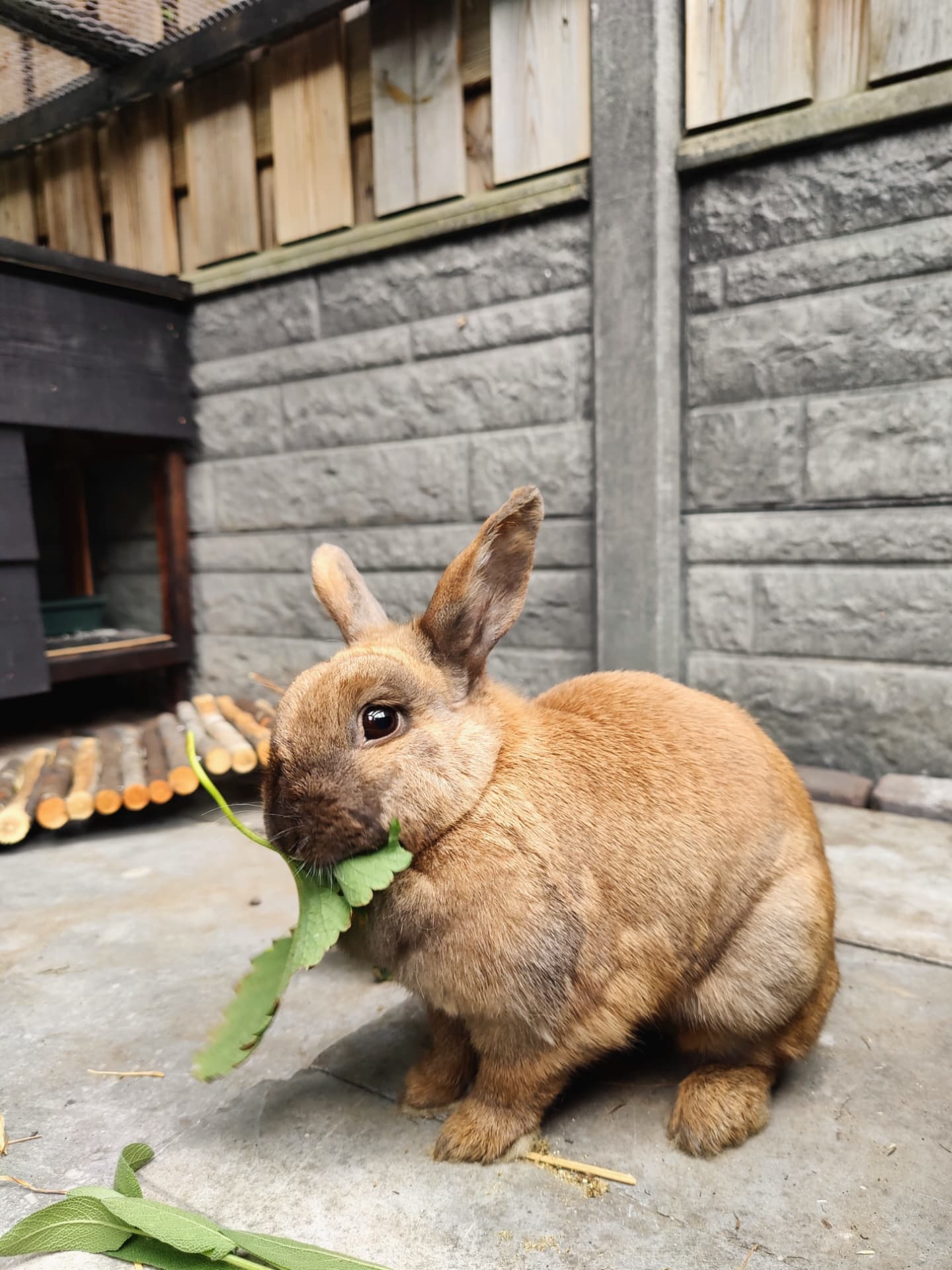 IMG_20250813_111552_416