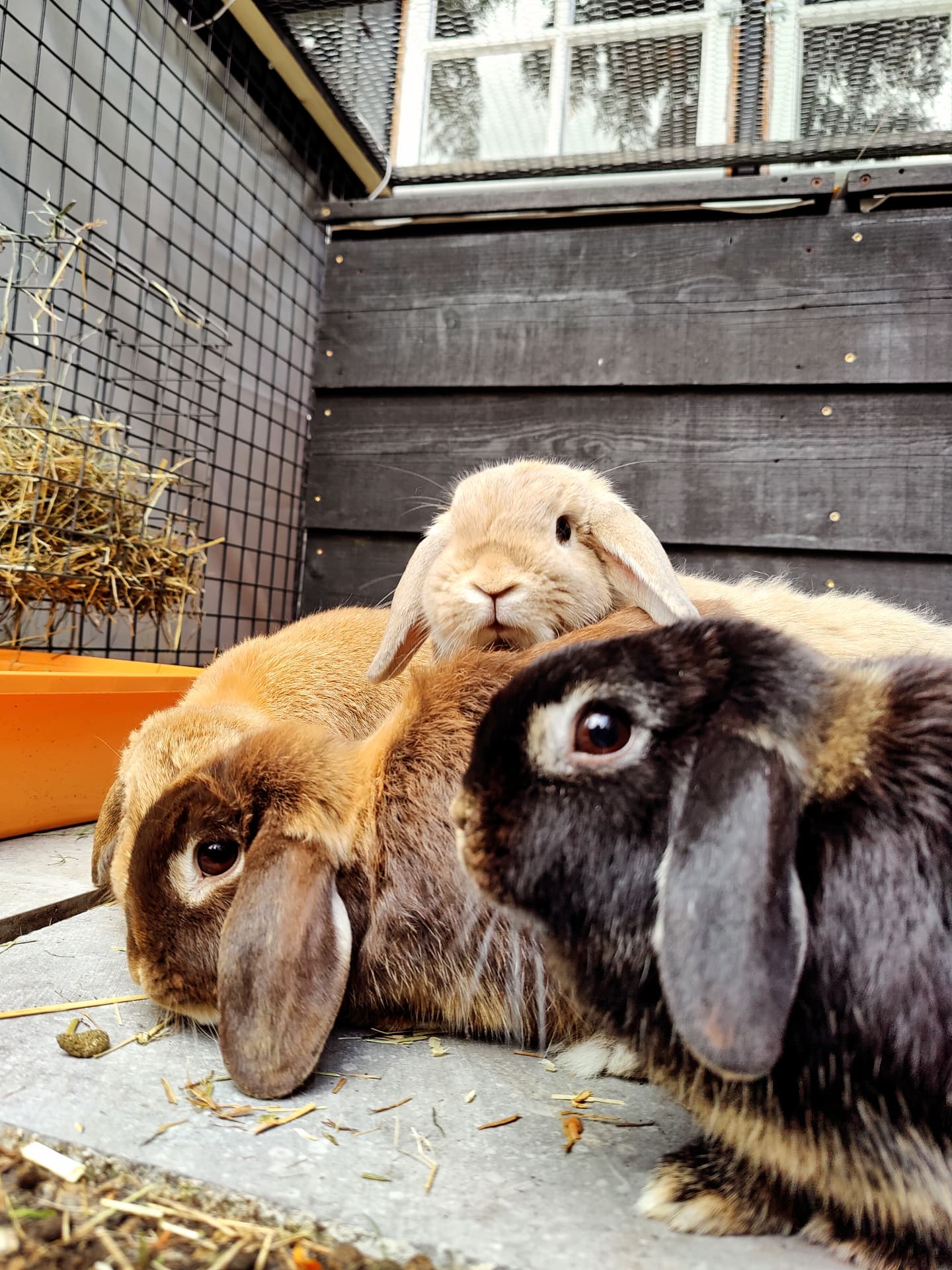 IMG_20250813_111552_463