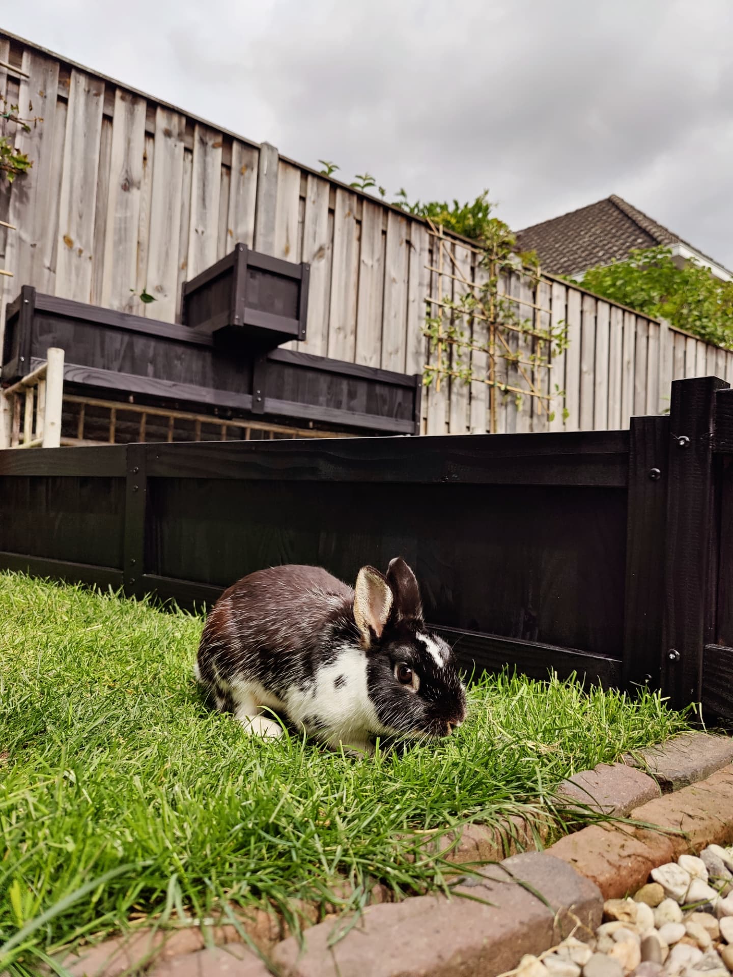 IMG_20250813_111552_533