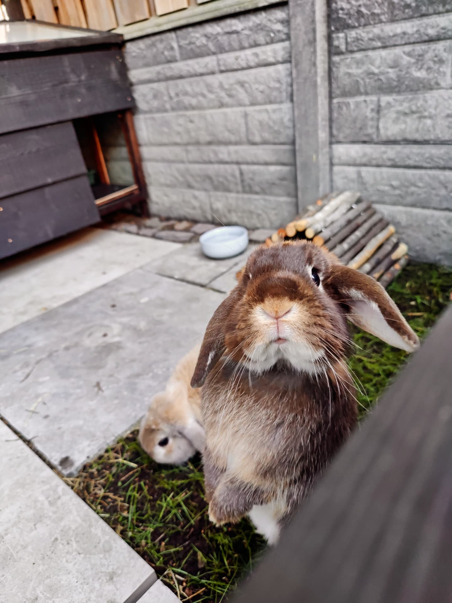 IMG_20250813_111552_563